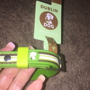 Dublin Dog Collar